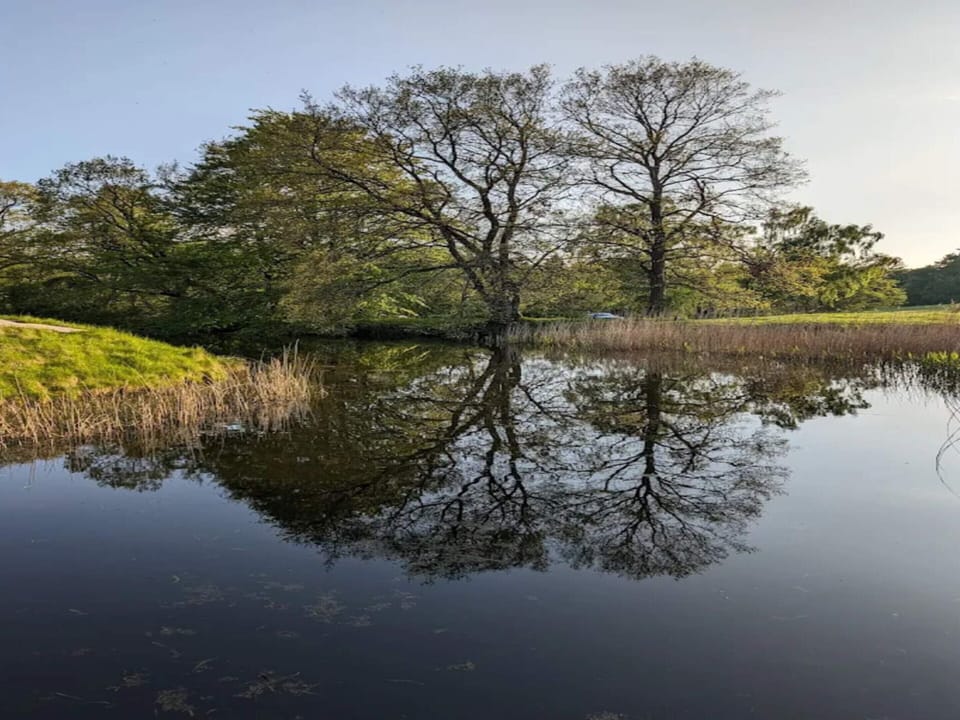 House | Water view