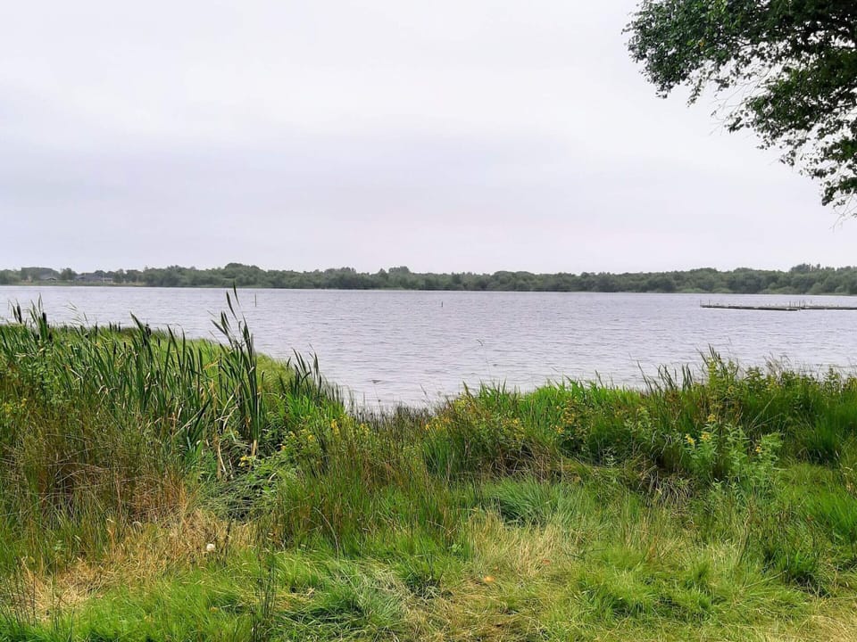 House | Water view