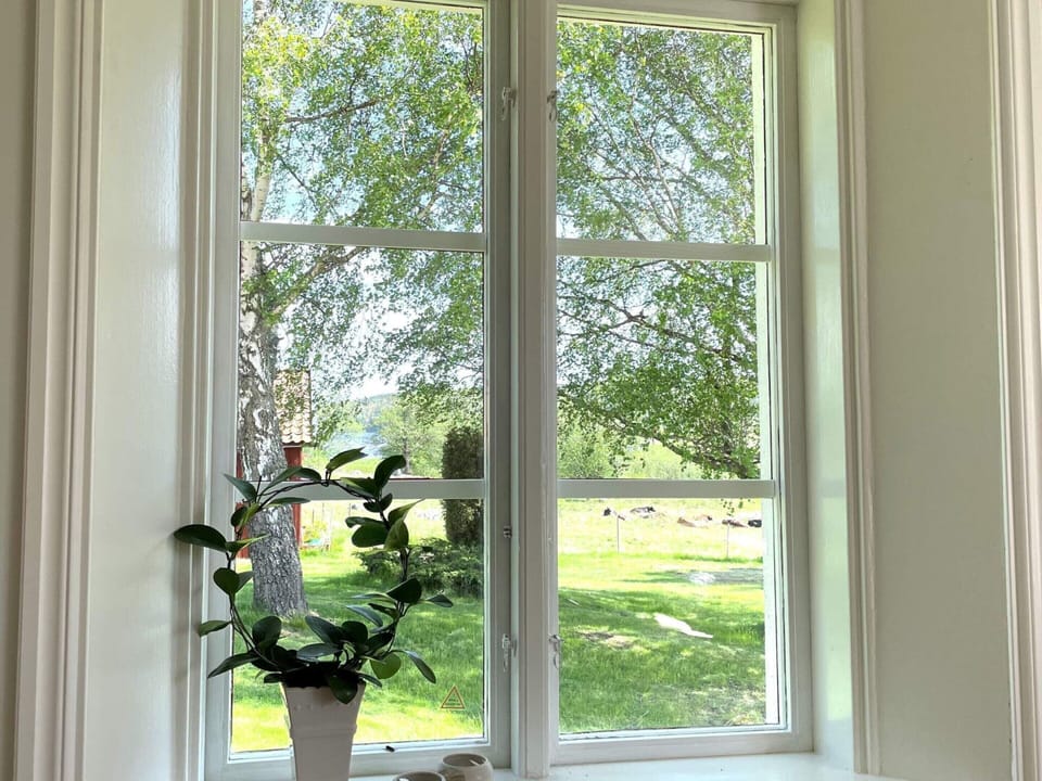 House | View from property
