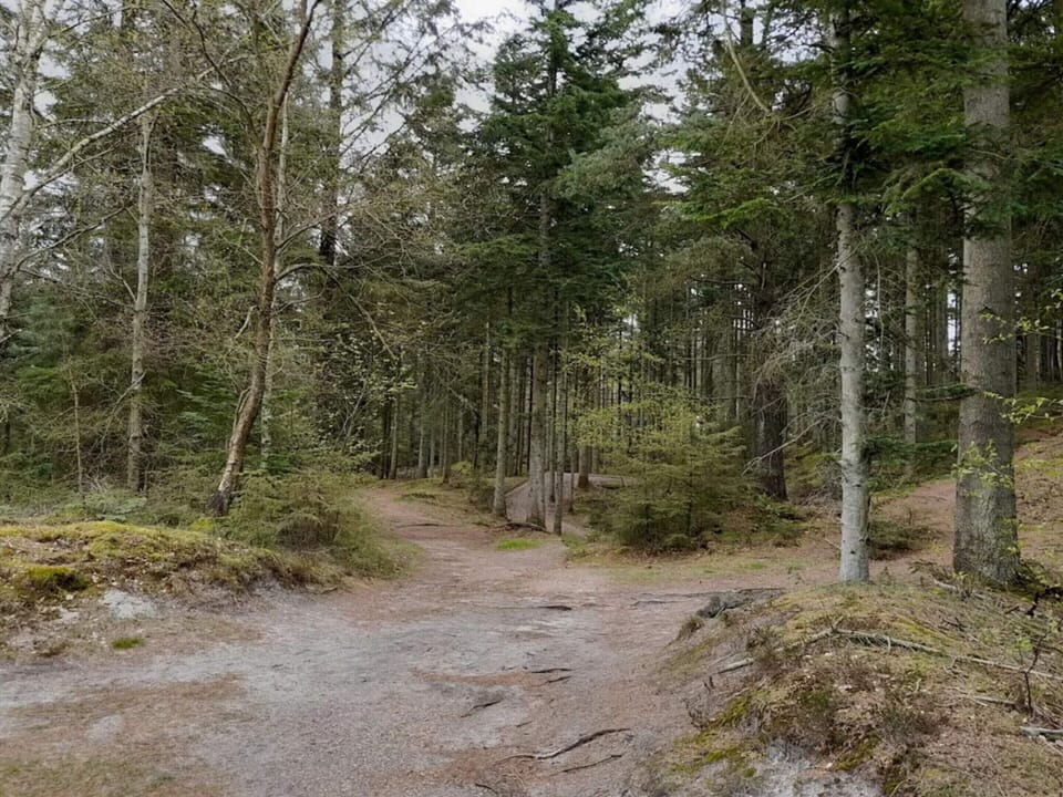 House | Miscellaneous