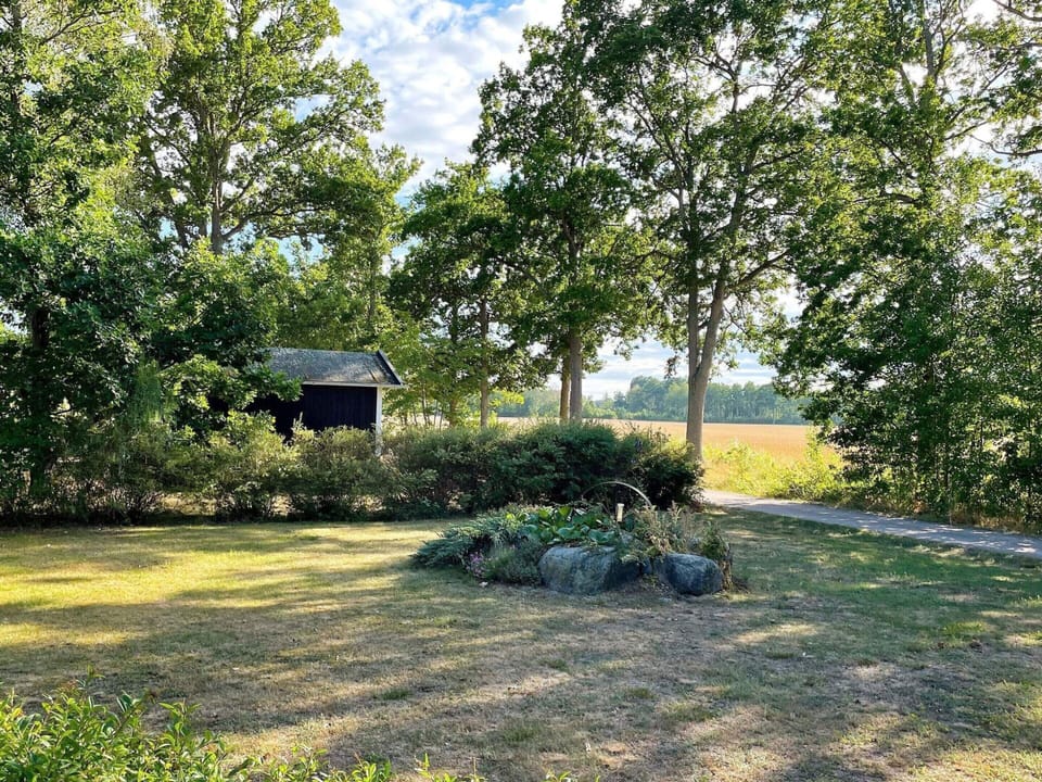 House | Property grounds