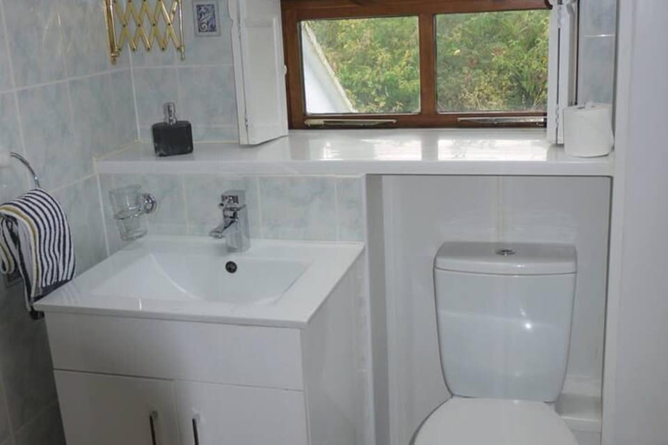 3-bed Cottage Near Lake Vyrnwy, Garden & Petsok Cottage in Llanwddyn
