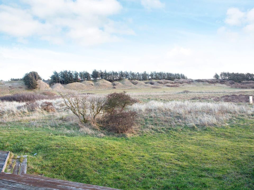 House | View from property