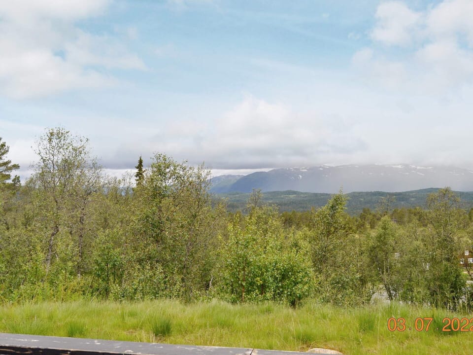 House | View from property