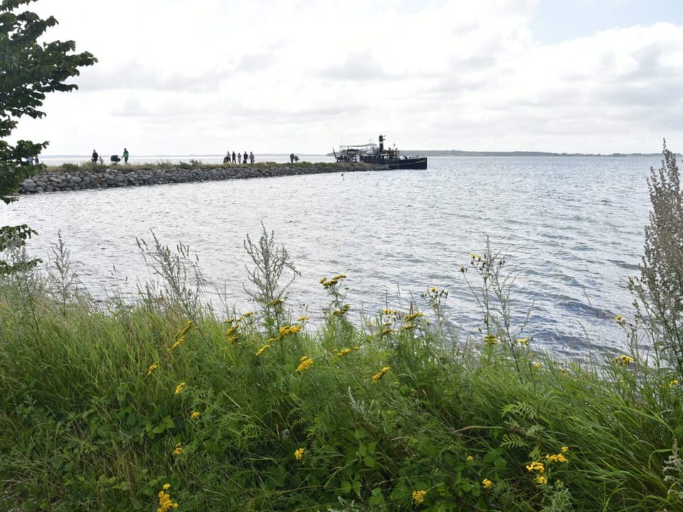 House | Water view