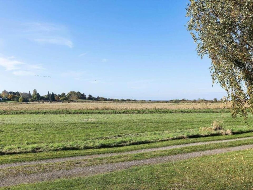 House | Miscellaneous