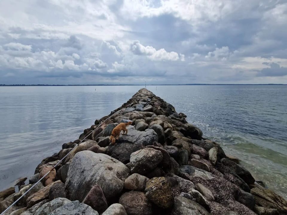 House | Water view