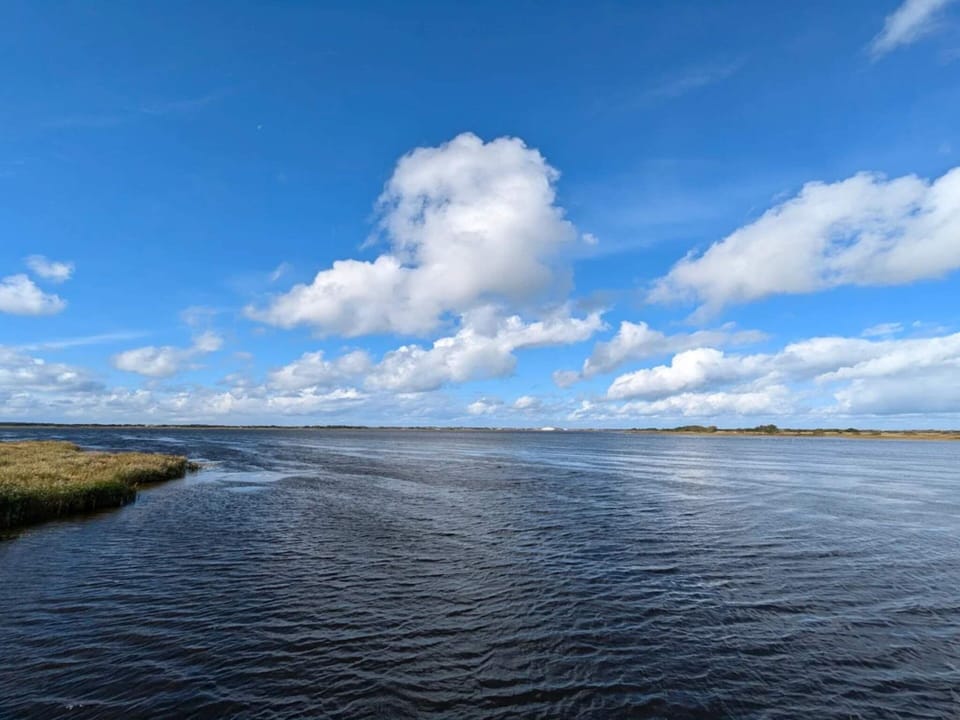 House | Water view