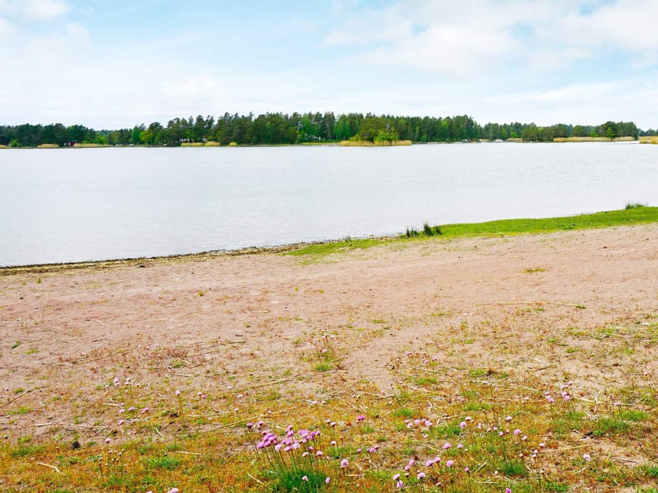 House | Water view