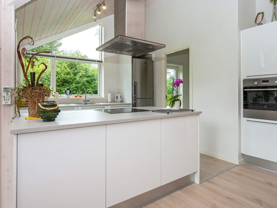 House | Private kitchen | Dishwasher