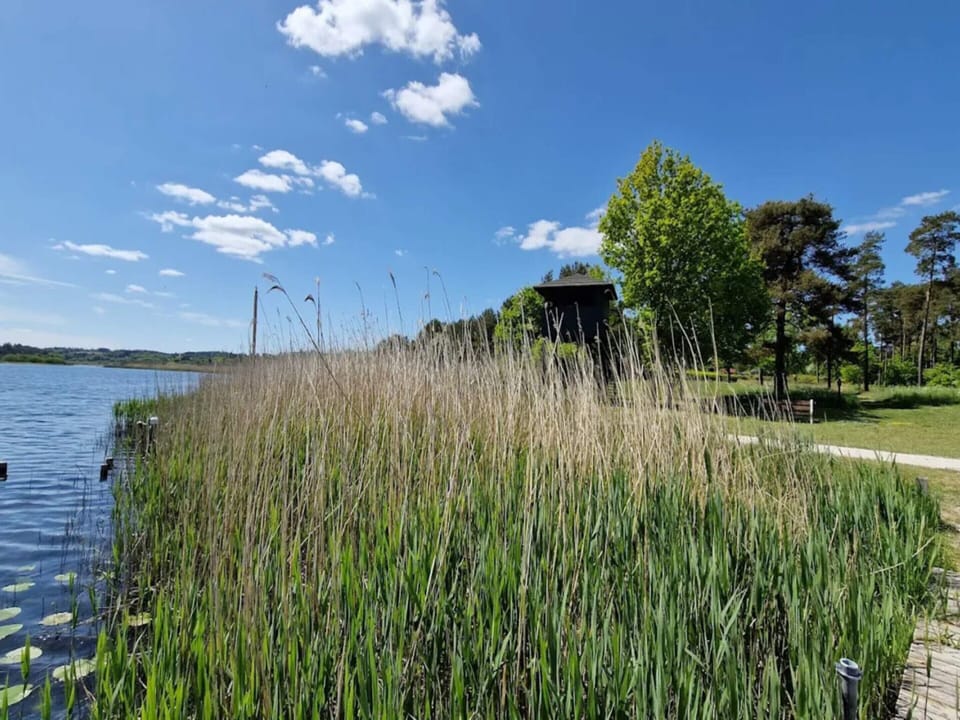House | Water view