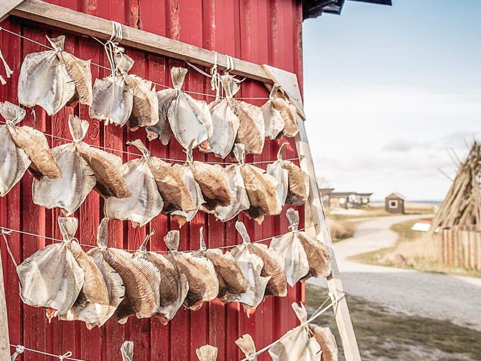 House | Property grounds