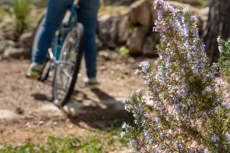 Bicycling