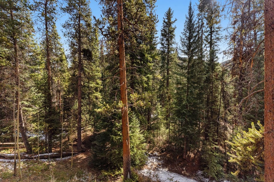 Condo (2 Bedrooms) | Property amenity