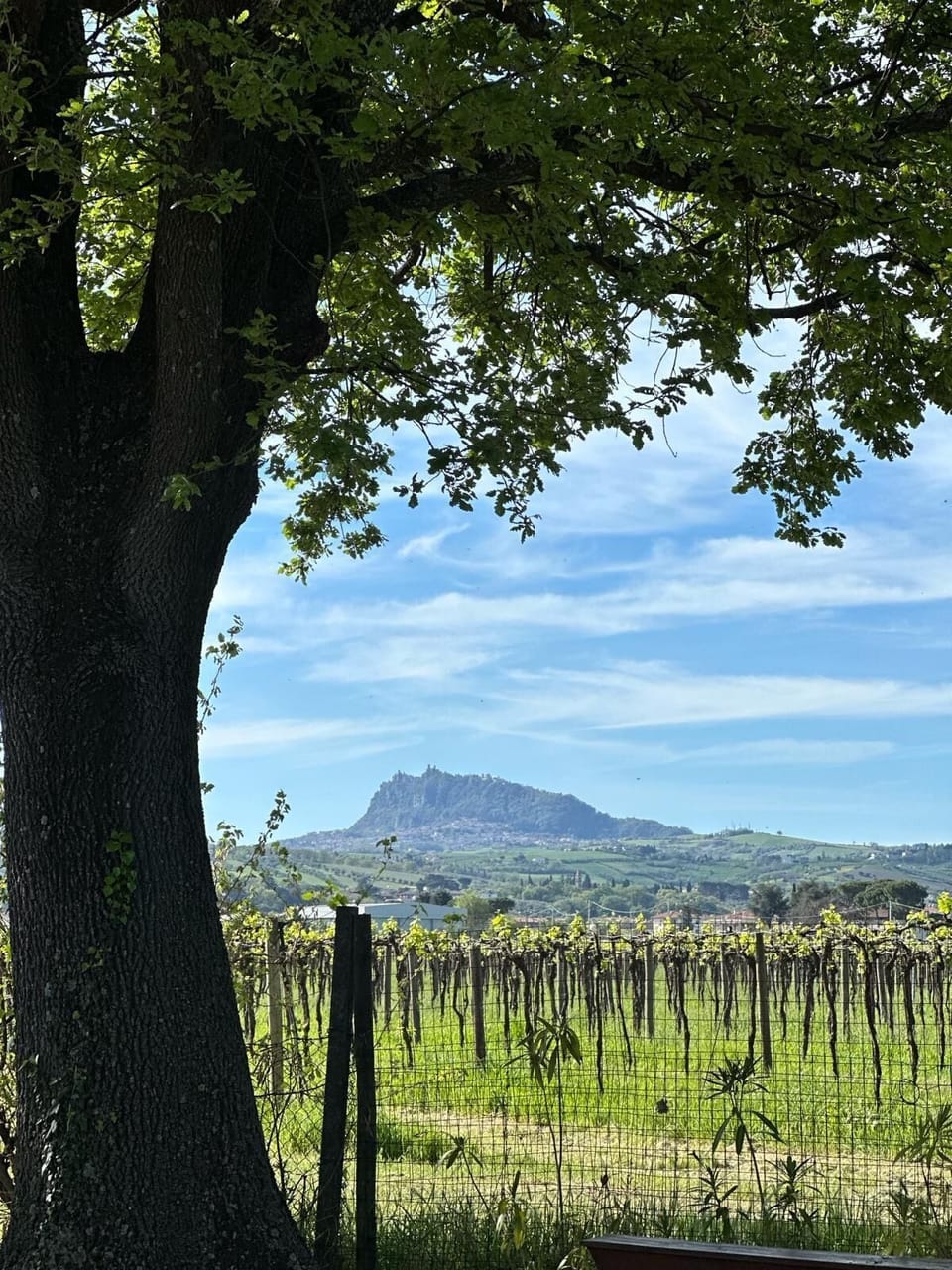 Land view from property