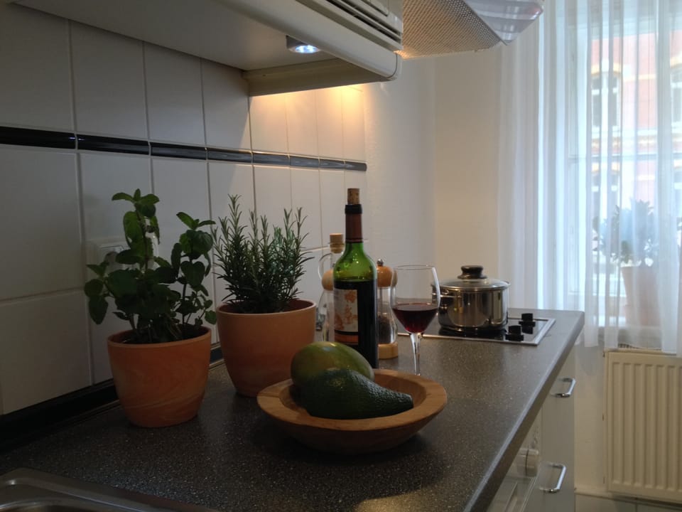 Apartment, 1 Bedroom | Private kitchen | Fridge, microwave, stovetop, dishwasher