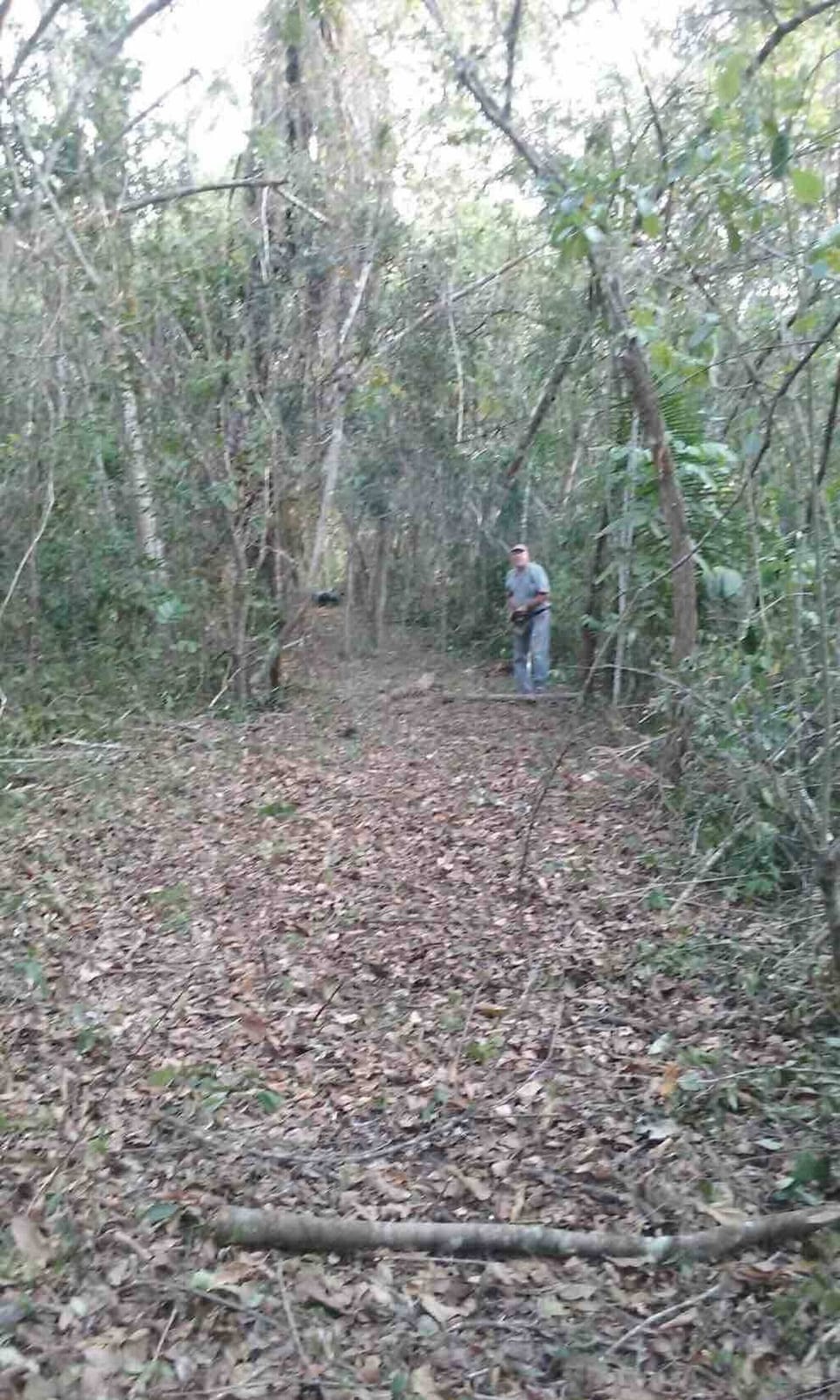 Cabin, 1 Bedroom, Patio | Exterior