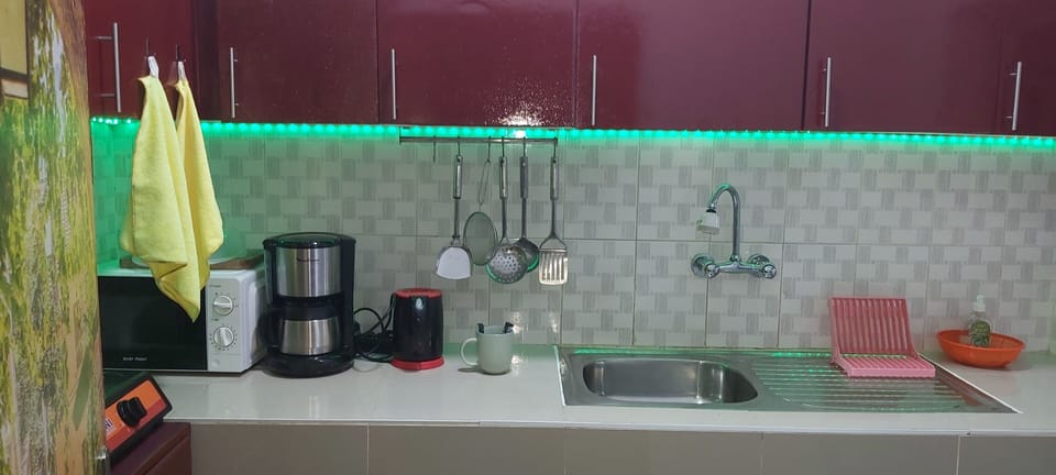 Apartment, 1 Bedroom, Terrace, Lake View | Interior