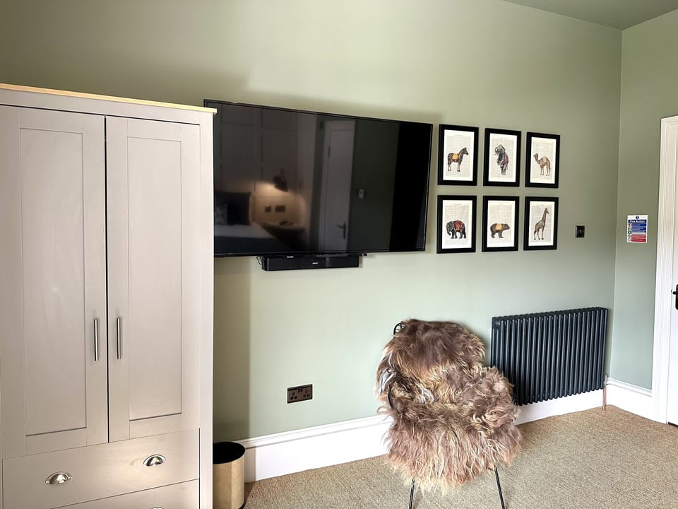 Deluxe Double Room, 1 King Bed, City View | Premium bedding, in-room safe, individually decorated