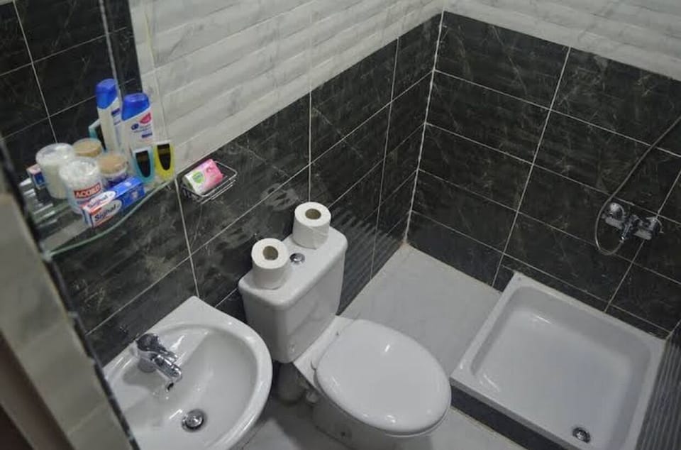 Combined shower/tub, hair dryer, bidet, towels