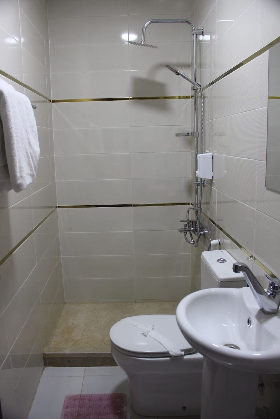 Combined shower/tub, hair dryer, bidet, towels