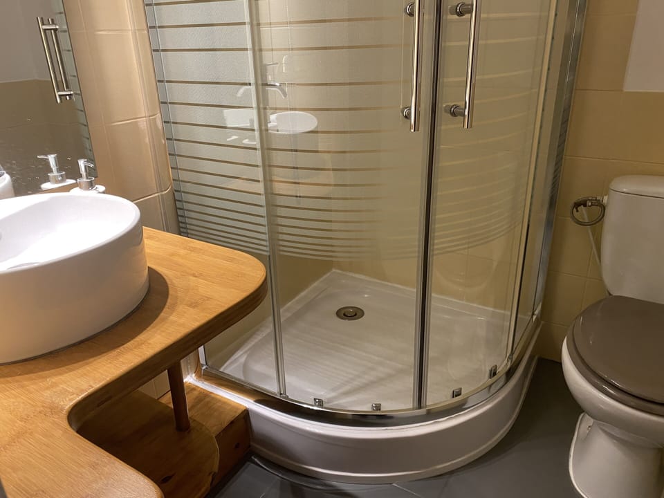 Classic Double Room | Bathroom | Shower, hair dryer, towels