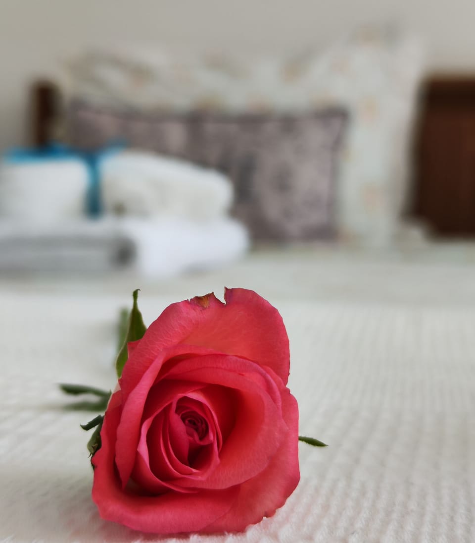 City Studio | Desk, laptop workspace, WiFi (free), bed sheets
