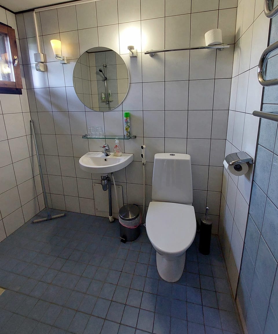Standard Double or Twin Room | Bathroom | Shower, free toiletries, towels