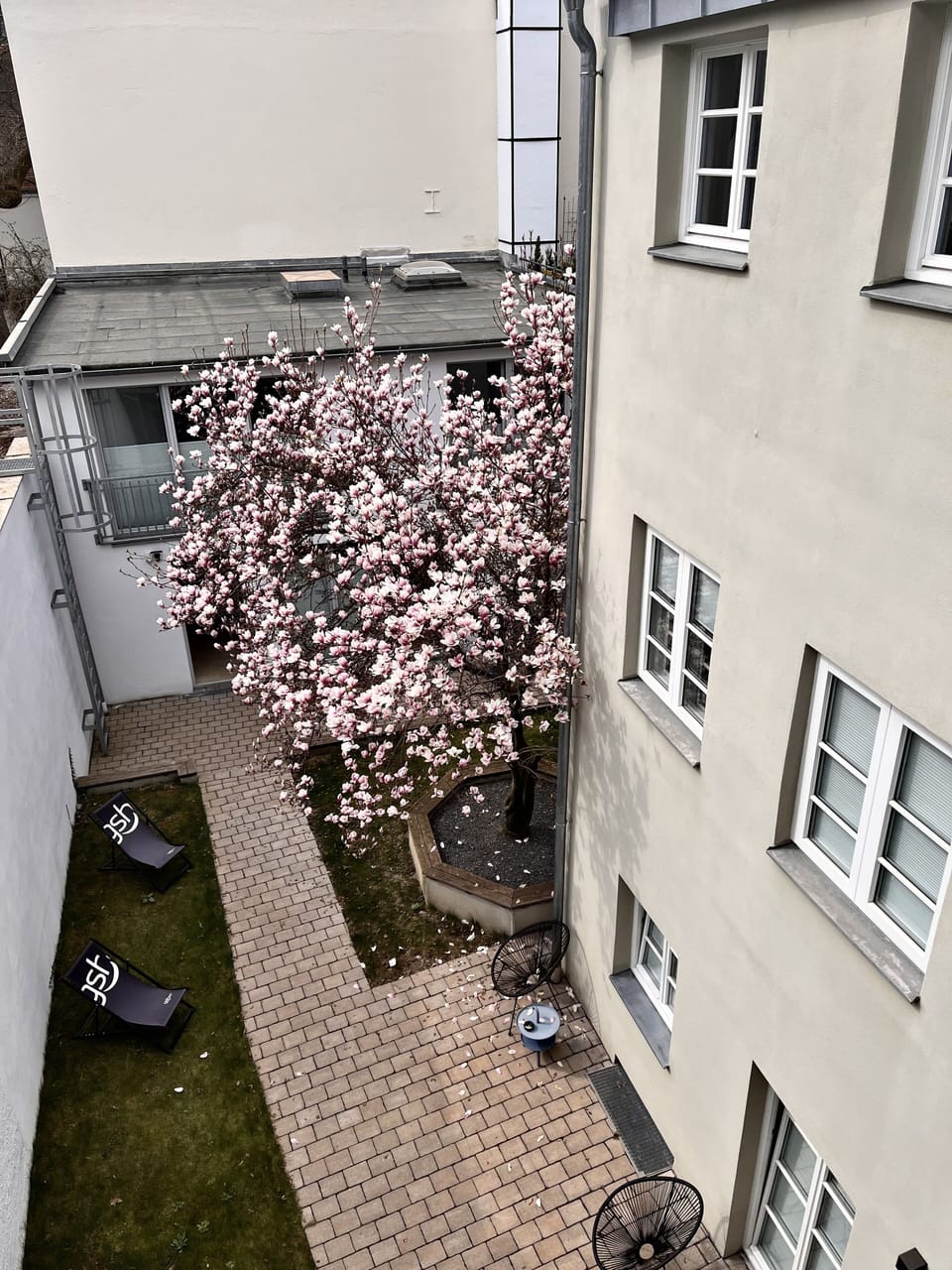 Garden view
