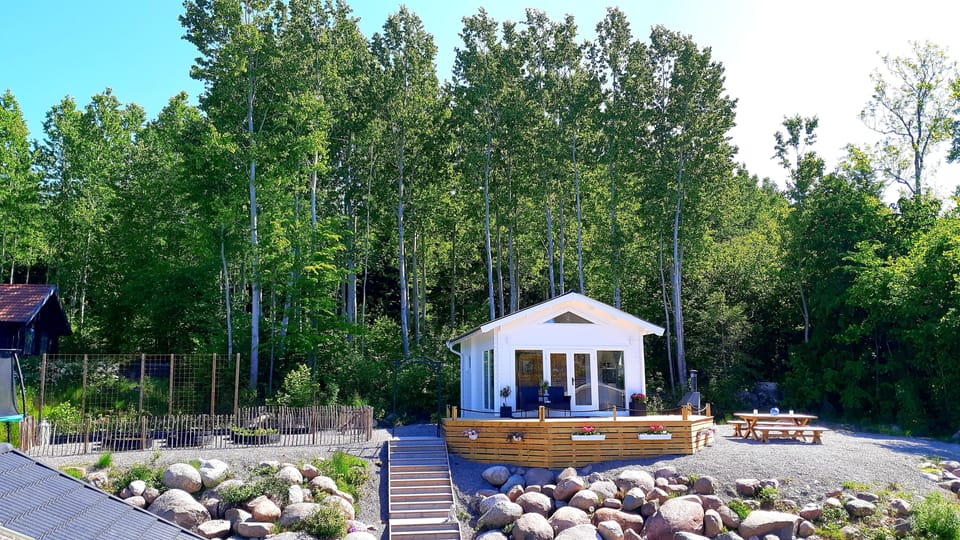 Cabin | Property grounds