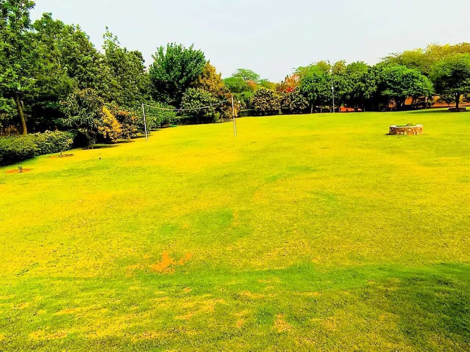 Garden view