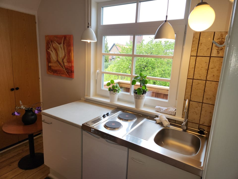 City Apartment | Private kitchen | Fridge, stovetop, coffee/tea maker, electric kettle