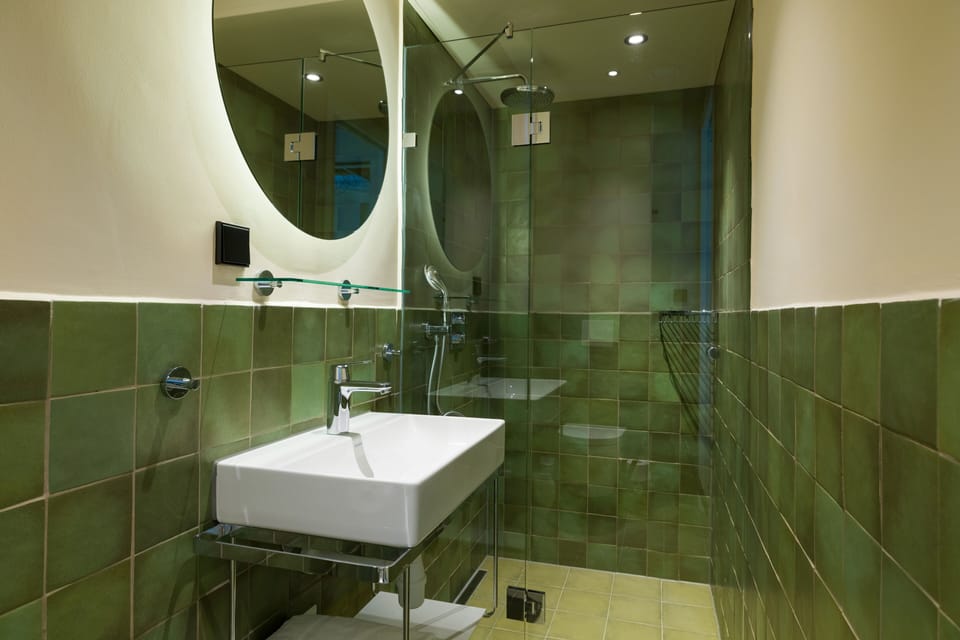 Standard Room | Bathroom | Shower, rainfall showerhead, eco-friendly toiletries, hair dryer