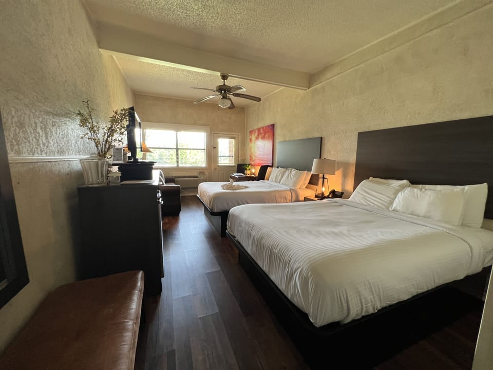 Studio | 1 bedroom