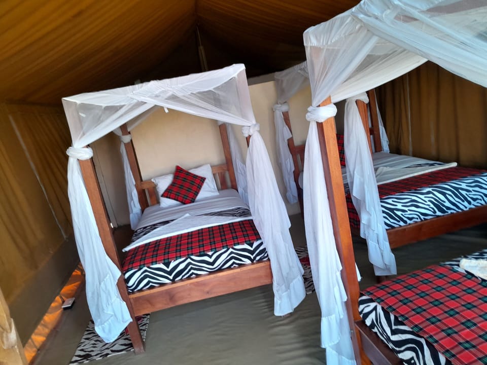 Basic Triple Room