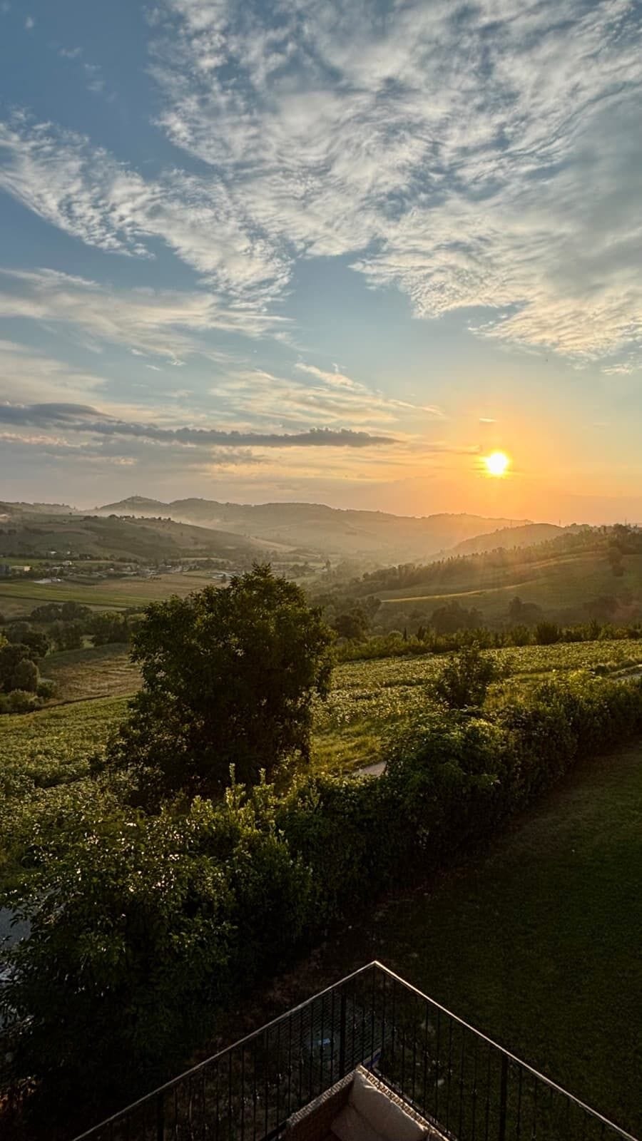 View from property