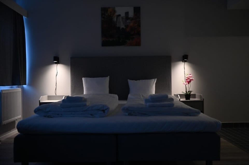 Deluxe Double Room | Desk, laptop workspace, free WiFi, bed sheets
