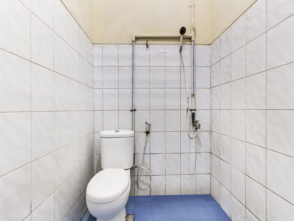 Shower, rainfall showerhead, towels, toilet paper