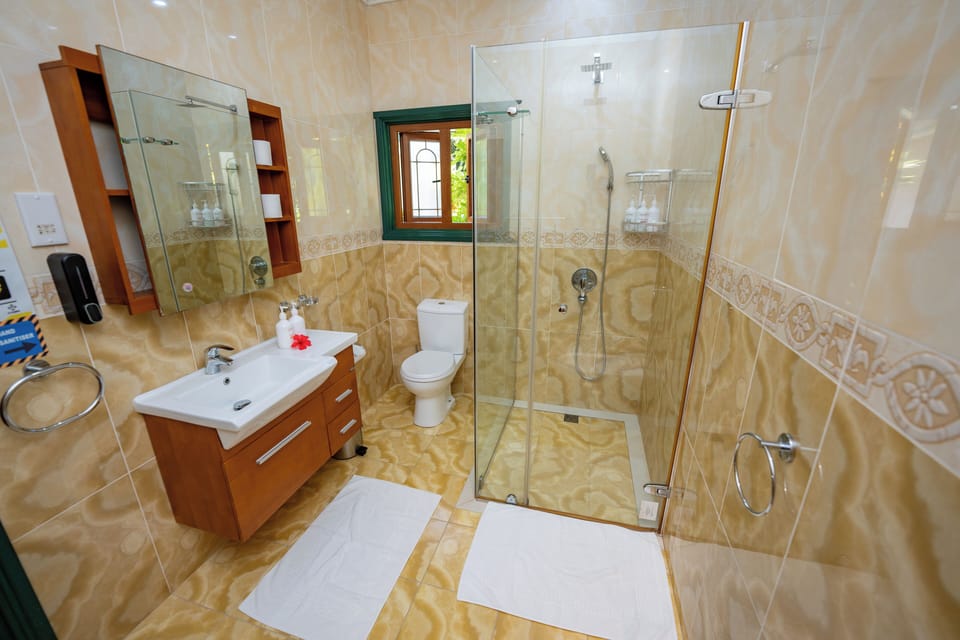 Basic Double Room (3) | Bathroom | Free toiletries, hair dryer, bidet, towels