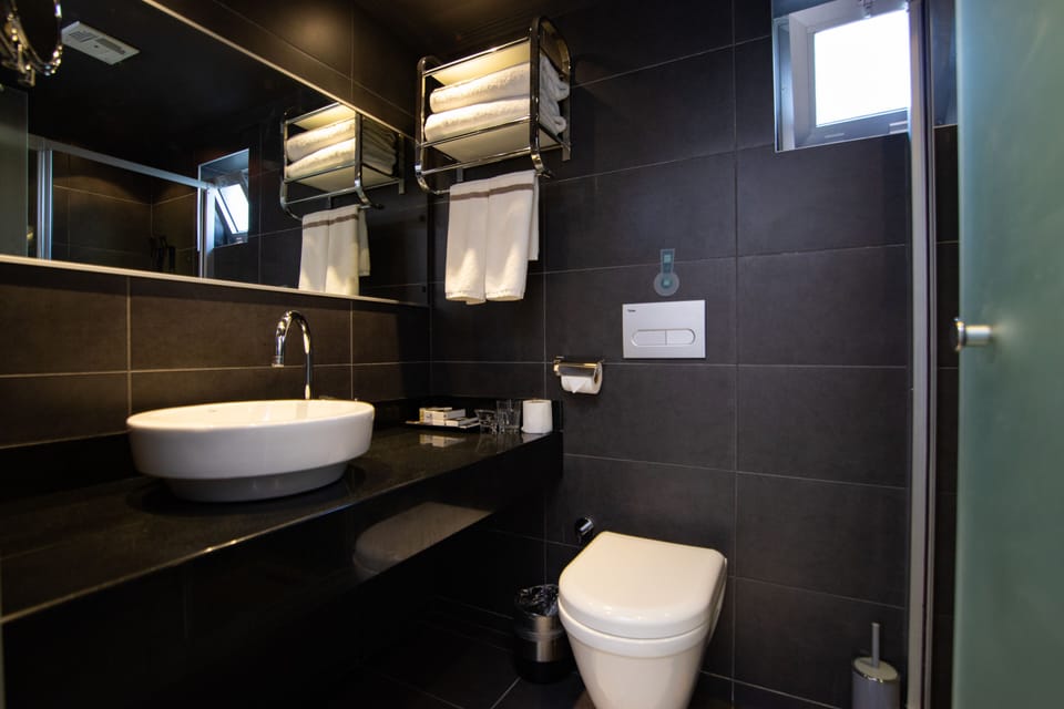 Standard Double or Twin Room | Bathroom | Shower, hair dryer, slippers, towels