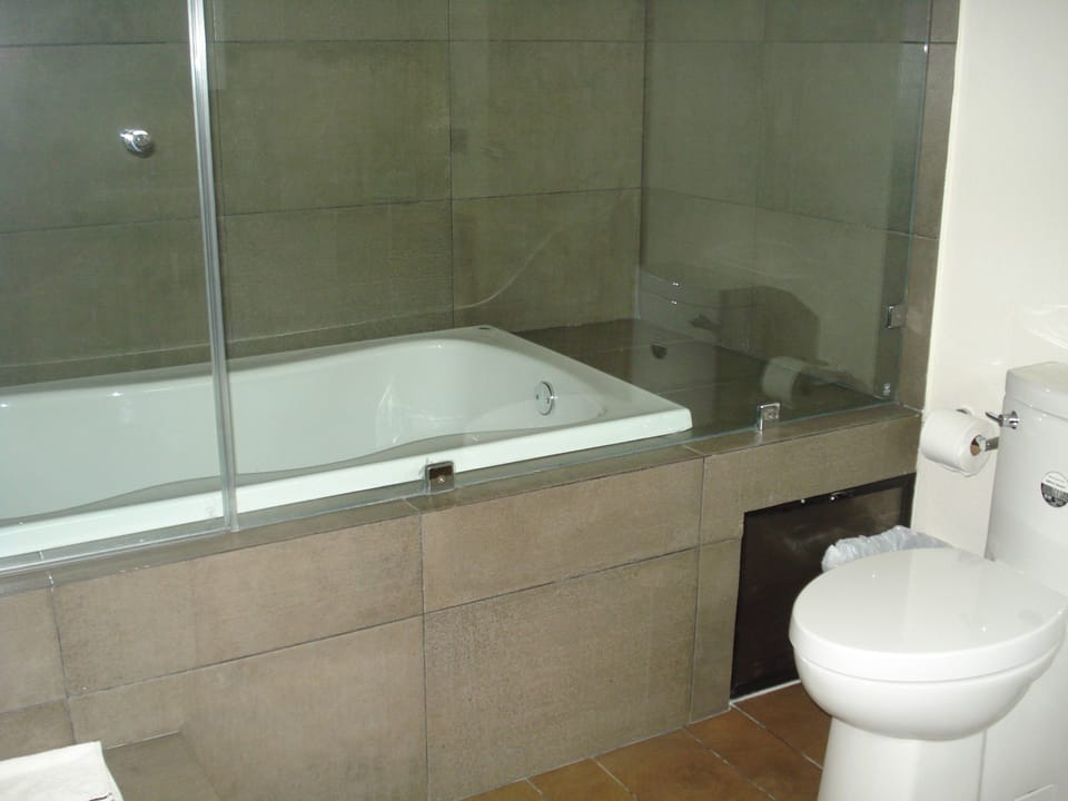 Suite | Bathroom | Free toiletries, hair dryer, towels