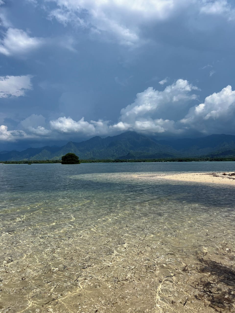 Mangroove Bay Boutique Hostel Hostel in Buleleng