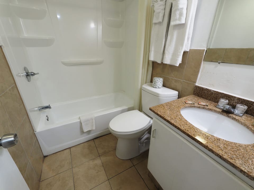 Combined shower/tub, free toiletries, hair dryer, towels