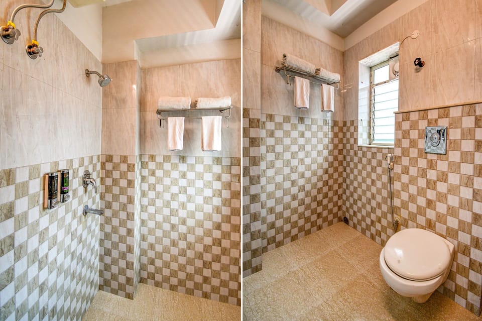 Deluxe Room | Bathroom | Shower, hydromassage showerhead, free toiletries, towels