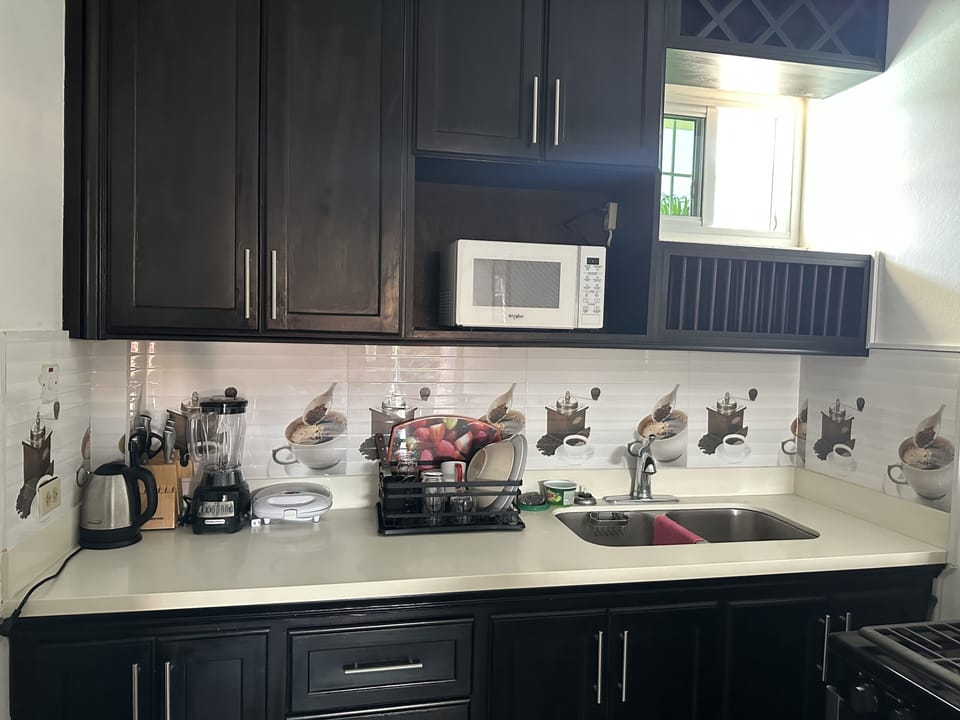 Apartment | Private kitchen | Fridge, microwave, oven, stovetop
