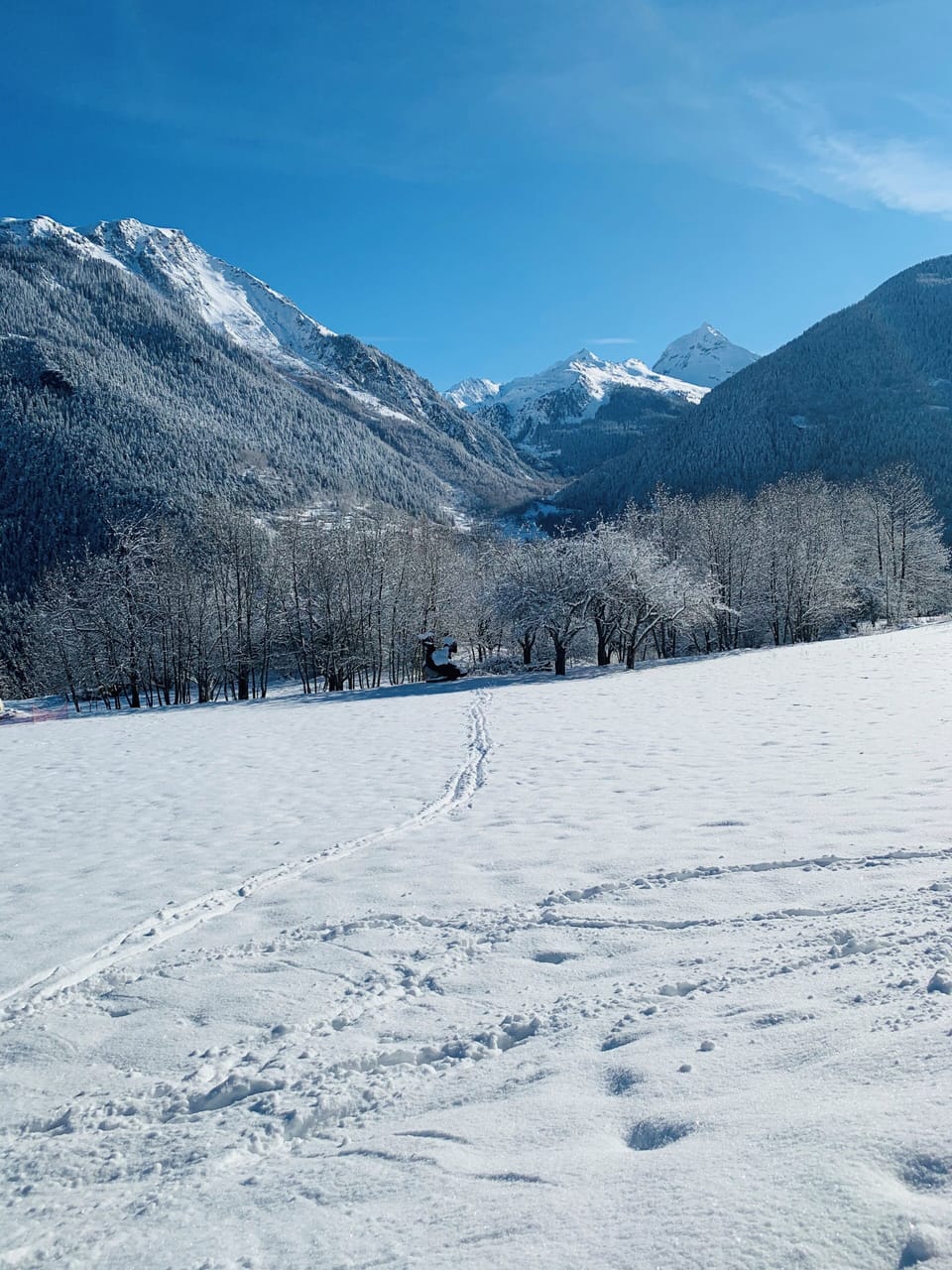 Skiing