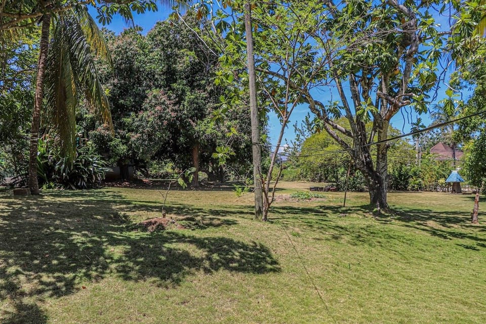 Executive Villa | Garden view