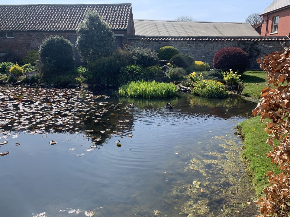 Cottage | Property grounds