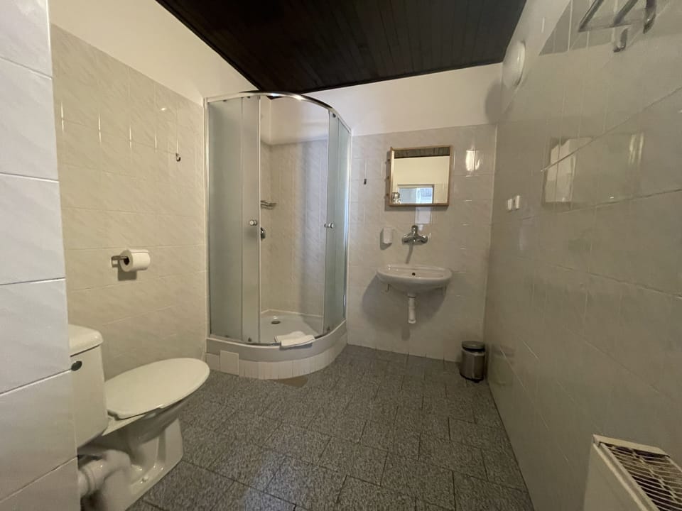 Comfort Double Room | Bathroom | Shower, towels