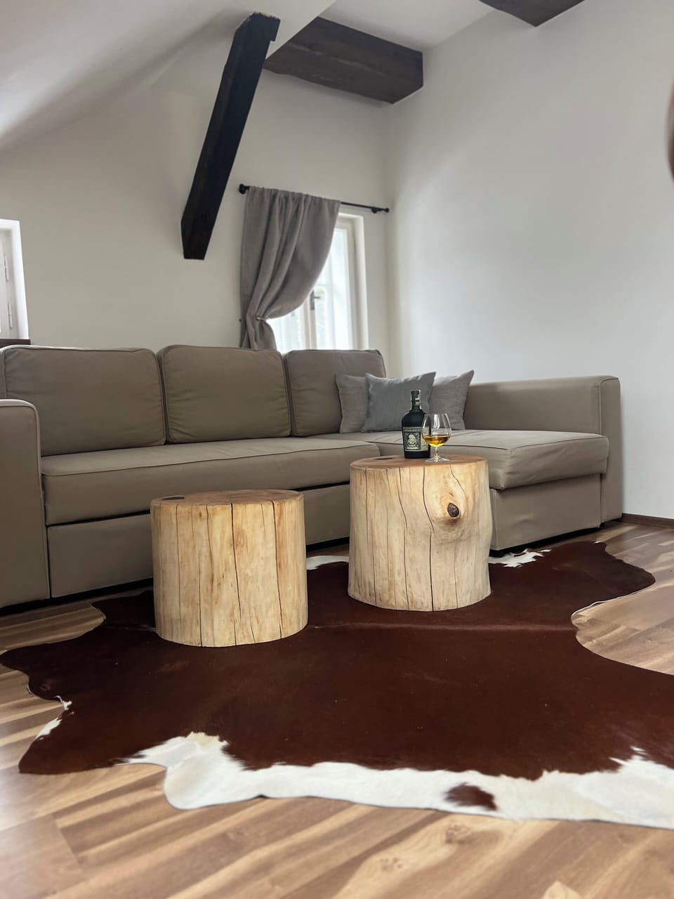 Comfort Suite | Living area | 20-inch LCD TV with satellite channels, TV